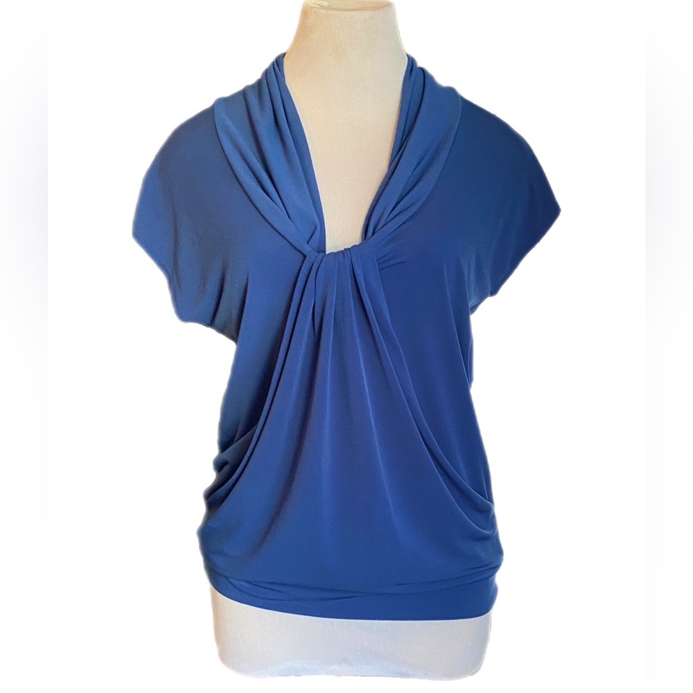 Pulled Blue Short Sleeve Stretch Top | New York & Company - Stretch